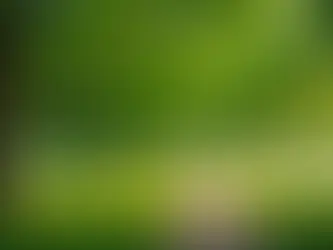 Get Moving and Grooving: Fun Ways to Stay Active and Exercise Every Day for Women Over 50!