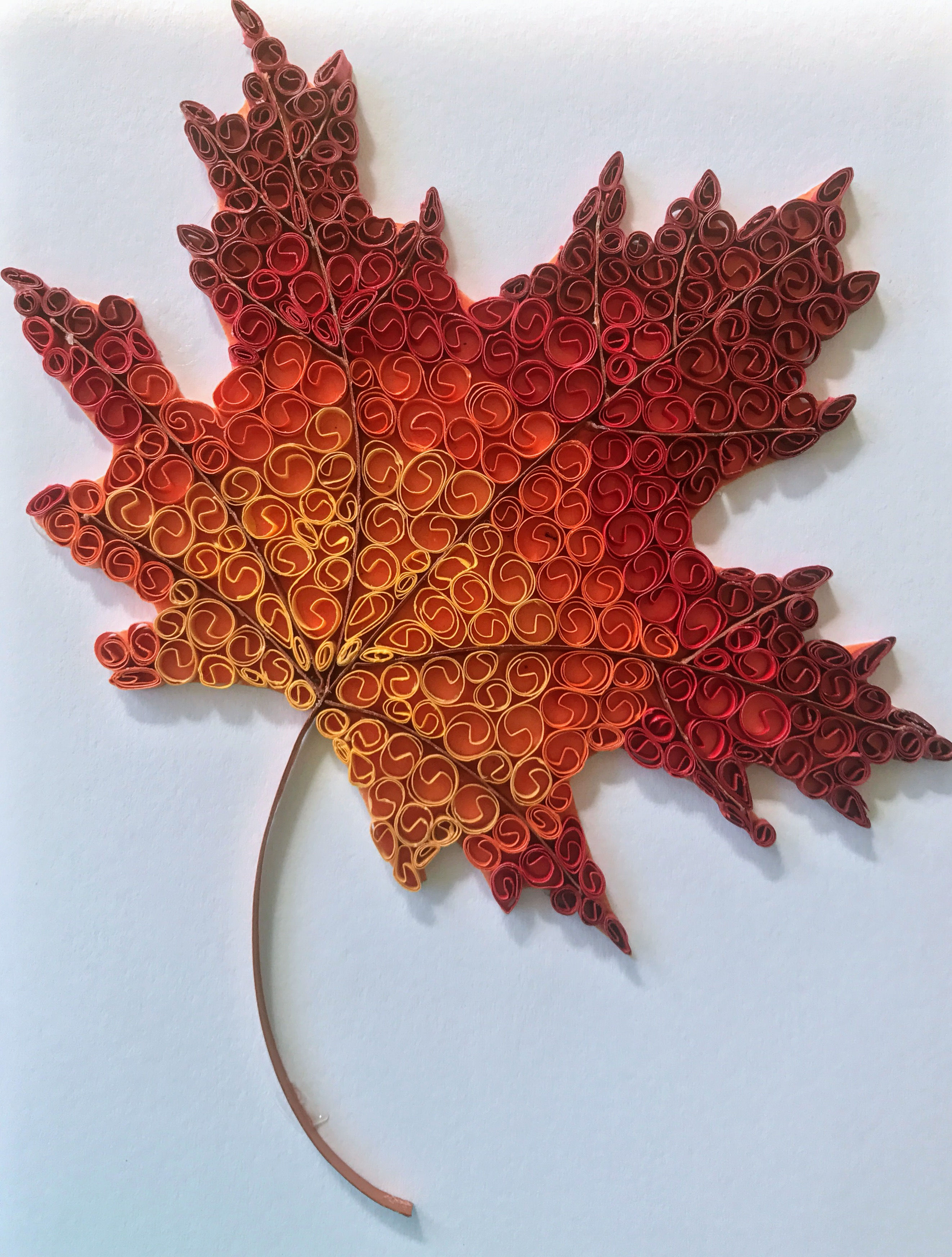Fall Leaf