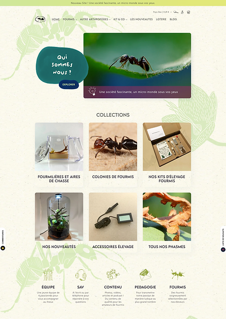 Shopify for arthropods store