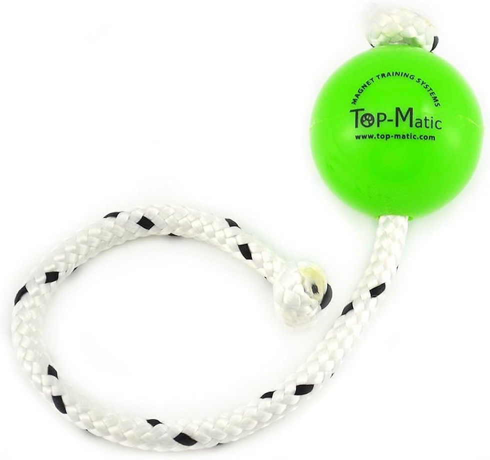 Top Matic Mini Magnetic Fun Ball Mojo Dog Co top-matic-mini-magnetic-fun-ball-mojo-dog-co