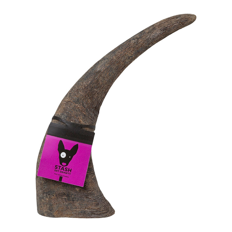 Thumbnail: Stash - Water Buffalo Horn