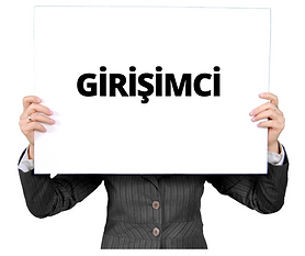 girisimci