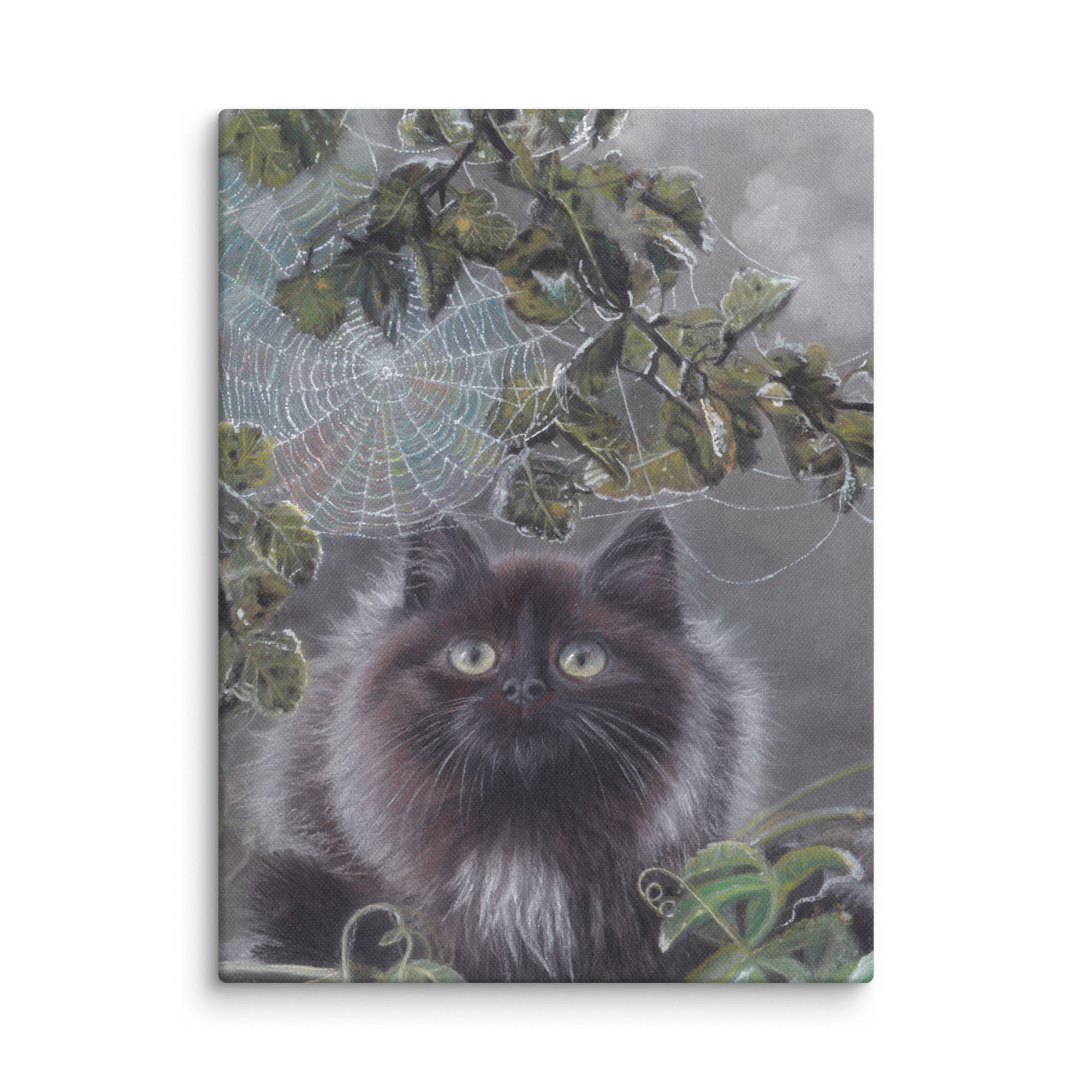 A Quiet Place Canvas Print - Cat and Spider Web