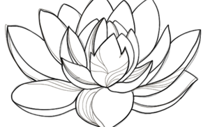 Fiore logo_edited.png