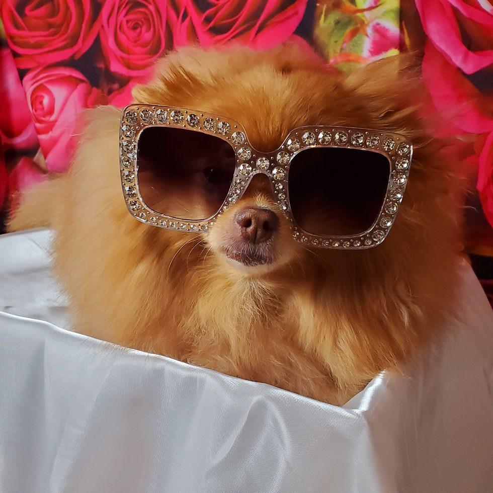 Miniatura: White Rhinestone Luxury High Quality Sunglasses