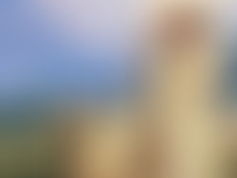 The Lord is my Shepherd, I Shall not be in Want