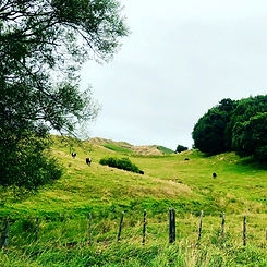 C7C93235-C9FD-4364-A9E9-EA5AF55920B6 2.jpg