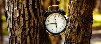 Epigenetics: Rewinding Your Biological Clock