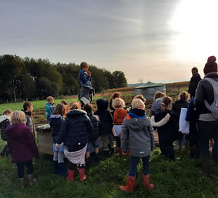 WhatsApp Image 2023-01-26 à 10.50.06.jpg