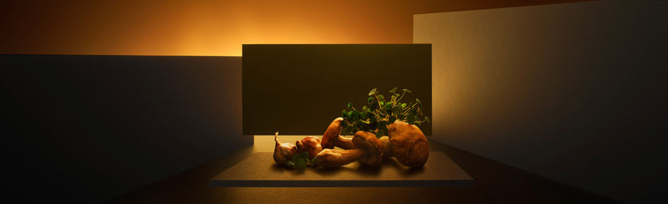 Hoe kleur en licht sfeerbepalend zijn.