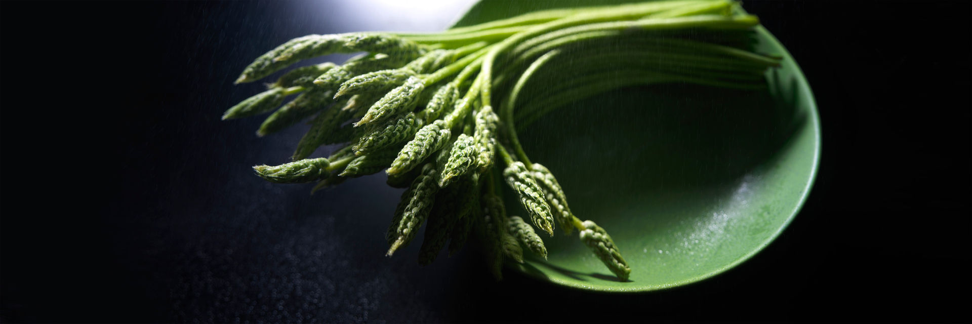 Still-life photography "Green Asparagus with Rain Drops", Fine art still-life photography by Chris Hutter