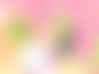 Follow our Twitch channel for upcoming lives!