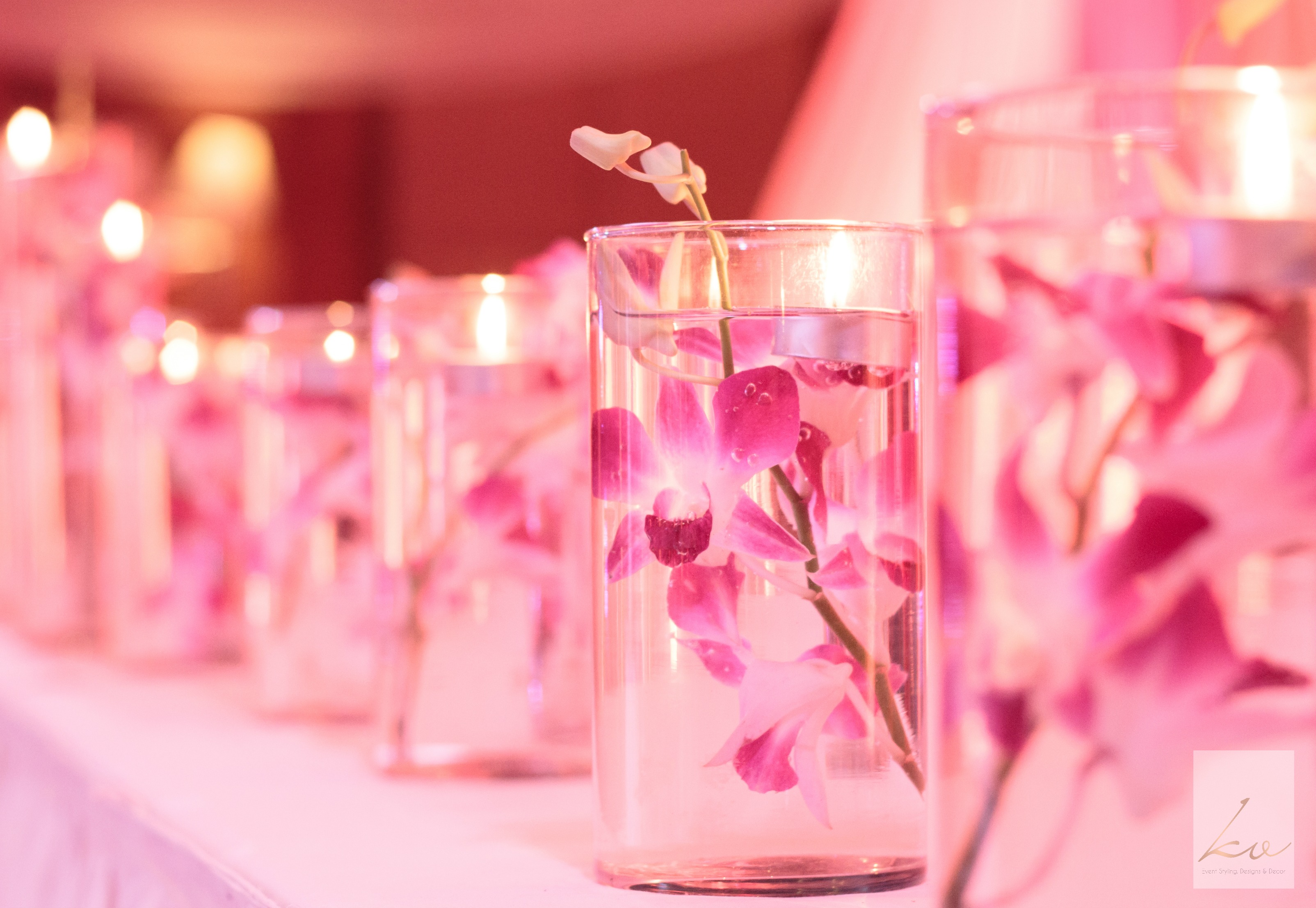 Some more Orchids