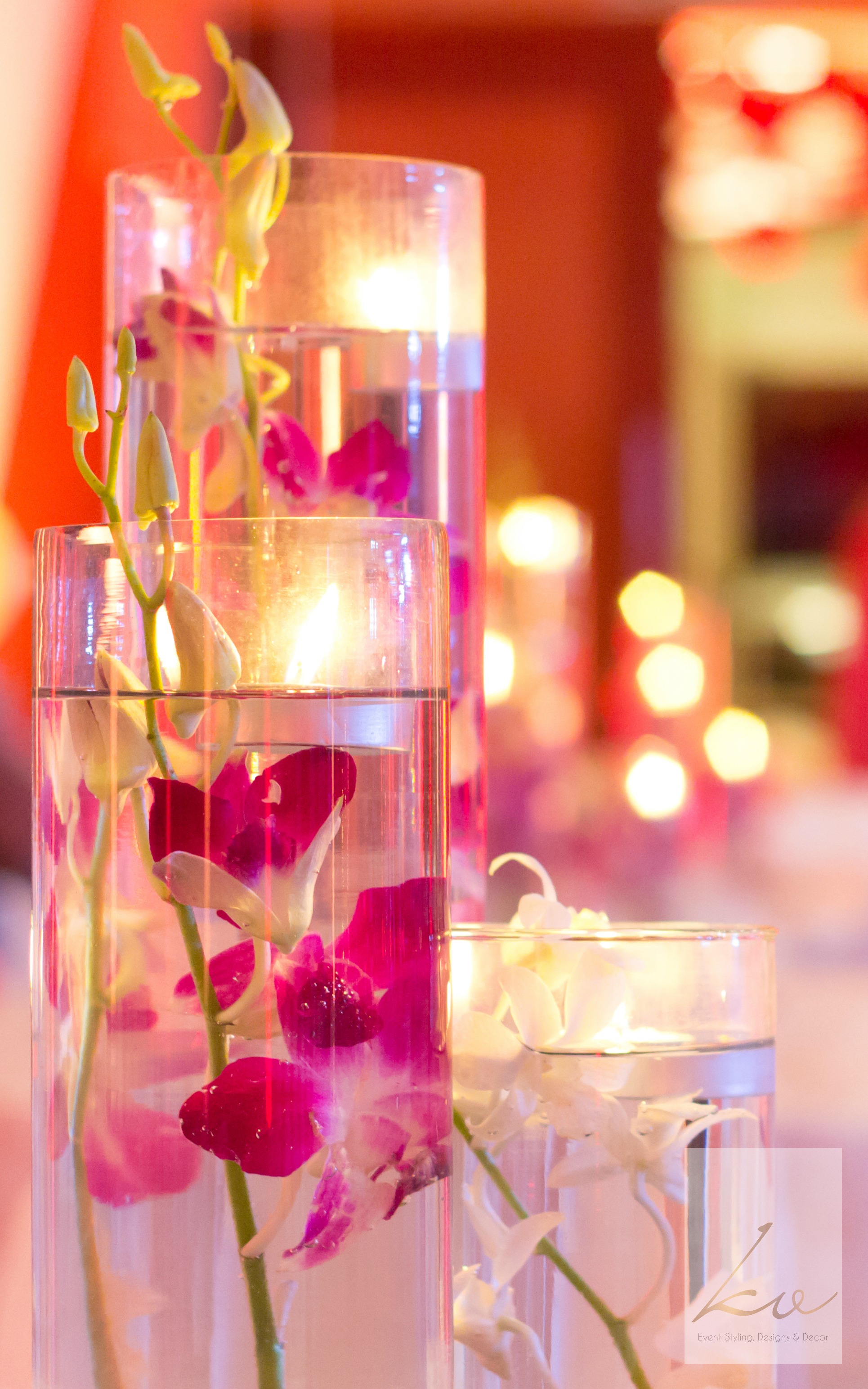 Orchids