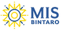 MIS