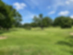 image00012.jpeg
