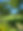 image00004.jpeg