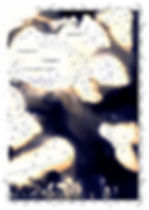 Peccadille 7 light web