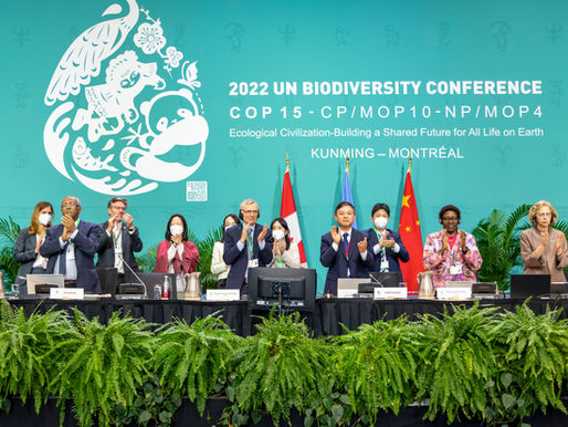 UN Biodiversity Summit COP16 Concludes With Little To Report