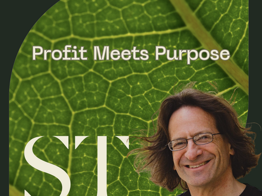 On Profit Meets Purpose, SeedLegals Co-founder and Chief Executive Anthony Rose