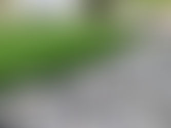 HOT TOPIC - Water Conservation: Benefits of converting to a xeriscape landscape!