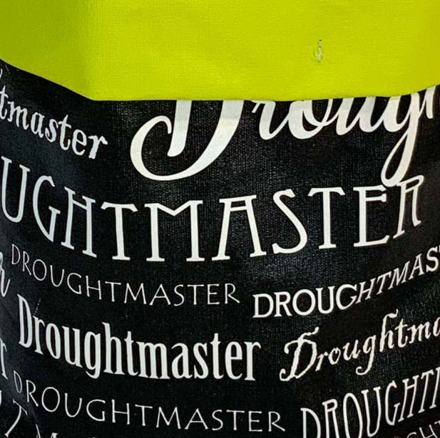 Thumbnail: Droughtmaster