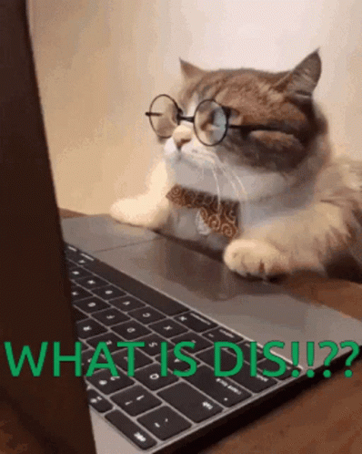 smarty-pants-what-is-this.gif