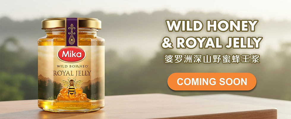 Mika Royal Jelly.jpg