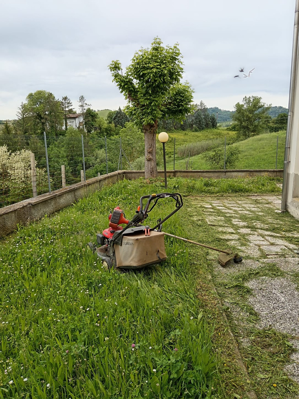 Miniatura: GIARDINAGGIO & MANUTENZIONE DEL VERDE