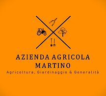 logo azienda martino foto.png