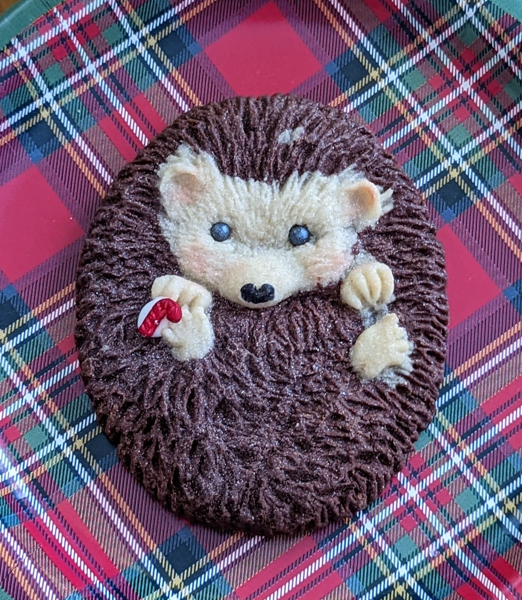 Chocolate Hedgehog Cookie