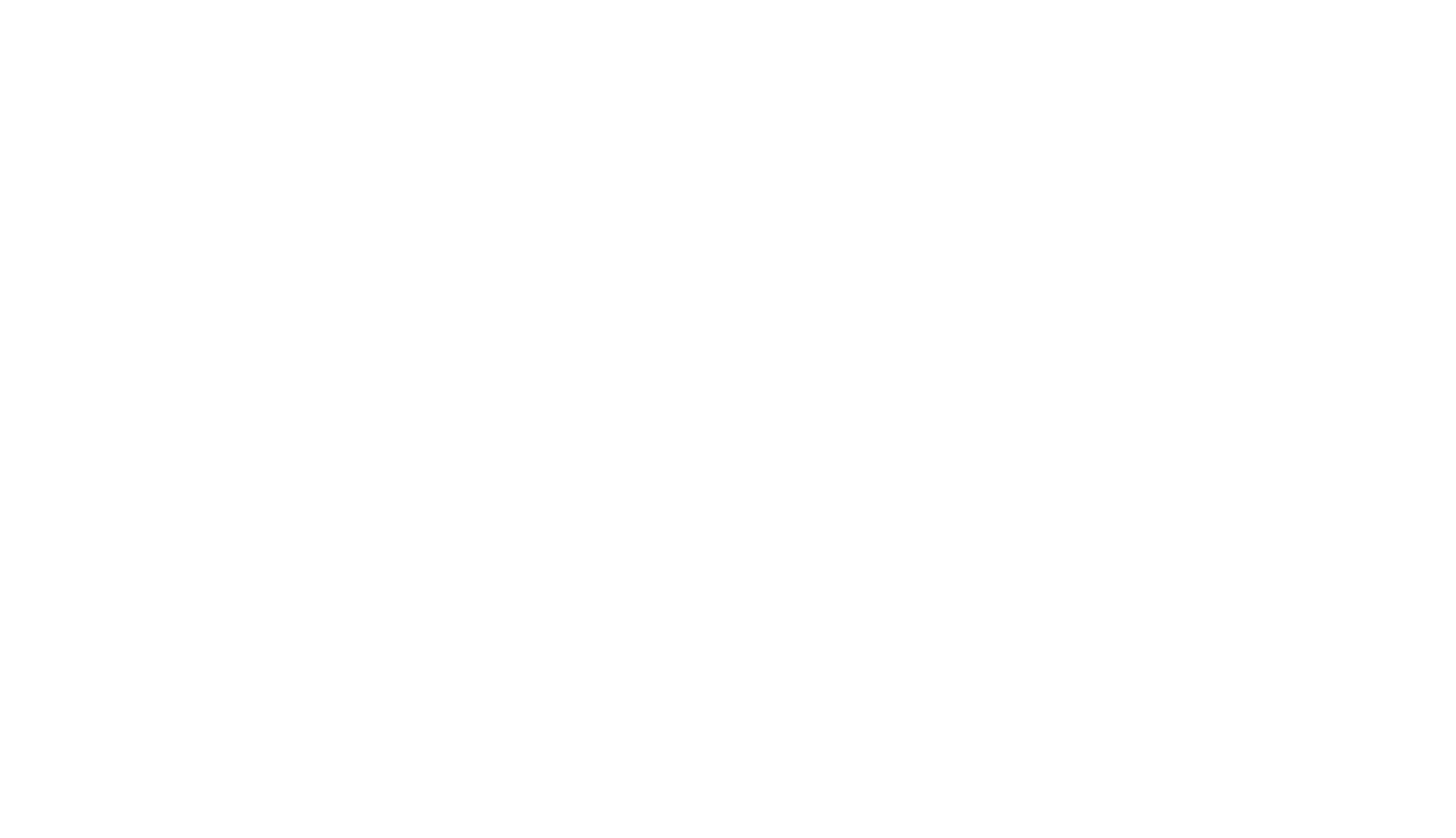 nopp white logo.png