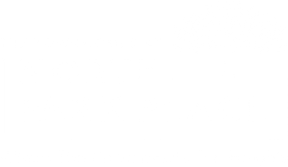 nopp white logo.png