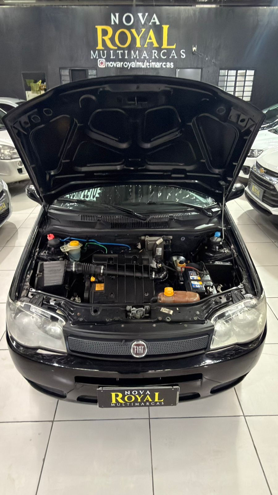 Miniatura: Siena Fire 2009