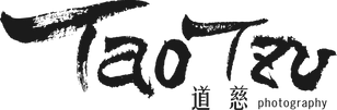 LOGO組合2-black(圖片浮水印、網頁用).png