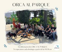 Orca Al Parque (Walk the dogs) (Laureles)