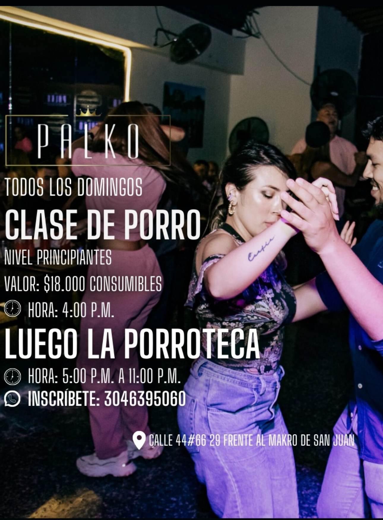 Palko Clase De Porro (Laureles)