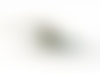 una pietra che irradia delle onde come sinonimo della ecologia invisibile del cambiamento