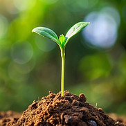 Be Yourself Coaching Crescita