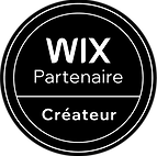 Logo wix partenaire
