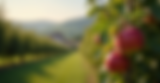 d0baf5_f55c9c799d1f42ca84203fa116238463~mv2.png