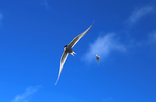 IMG_1854_edited.jpg
