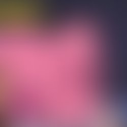 Youtube kanaal @GewoonThomas opnames in ons roze kasteel