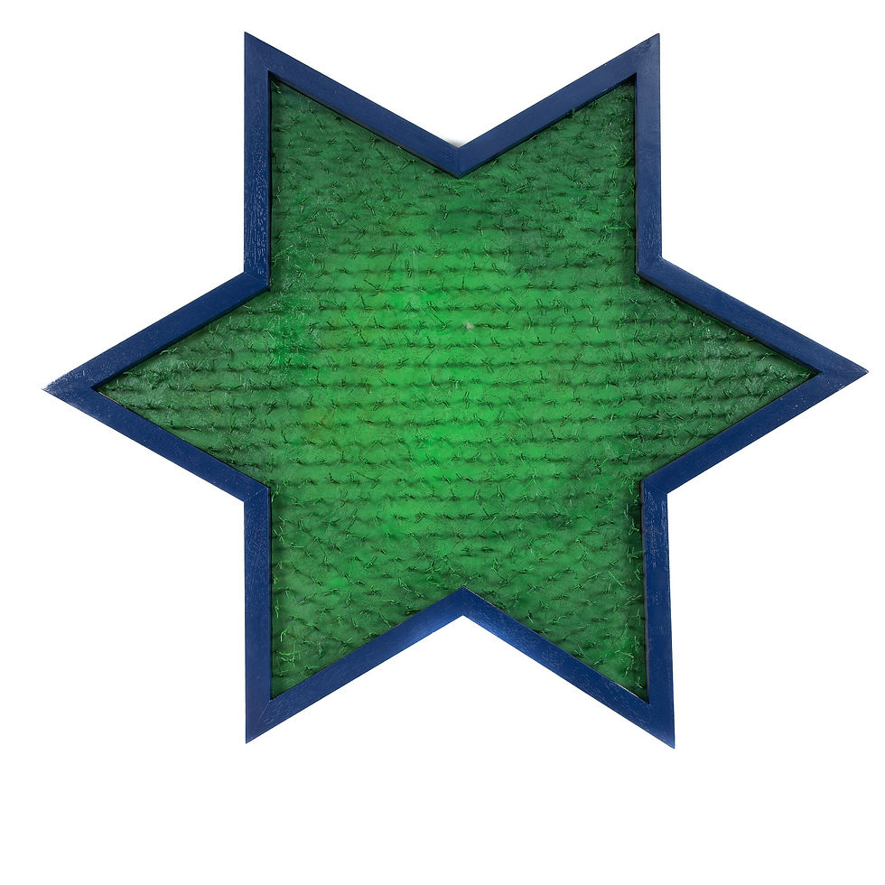 C'è un grande prato verde