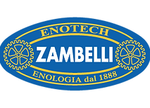 Logo_footer_zambelli.png
