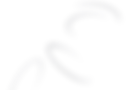 Group 6.png