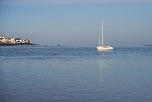 AdobeStock_337326634.jpeg