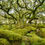 Thumbnail: Discover Dartmoor - Guided Walking Holiday - 2 Night's B&B Included