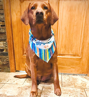 Phoenix.BD.2yrs.5.18_edited.jpg