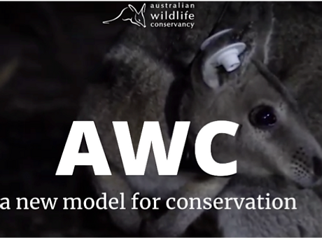 awc_edited.png